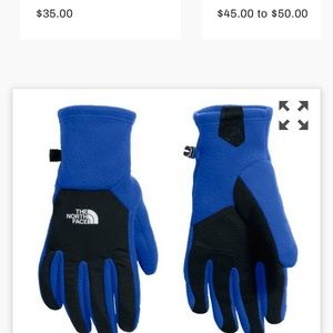 FREE North Face Denali Men’s Winter Gloves
